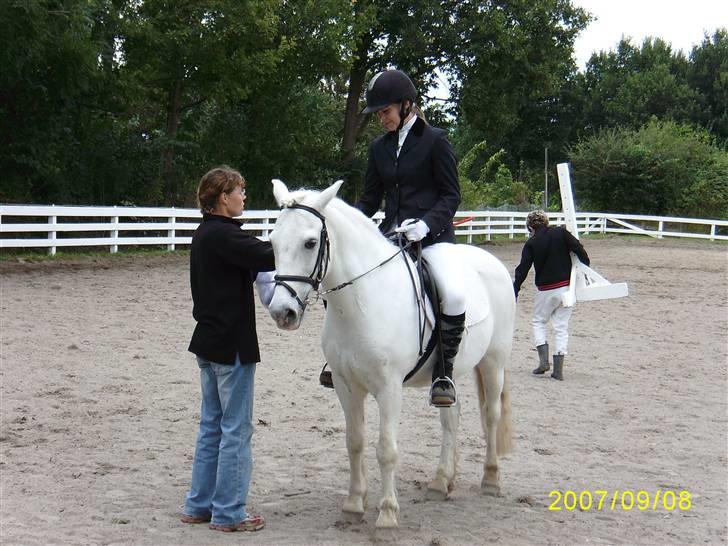 Anden særlig race Lurifax Gl. part - Til præmieoverrækkelse billede 11