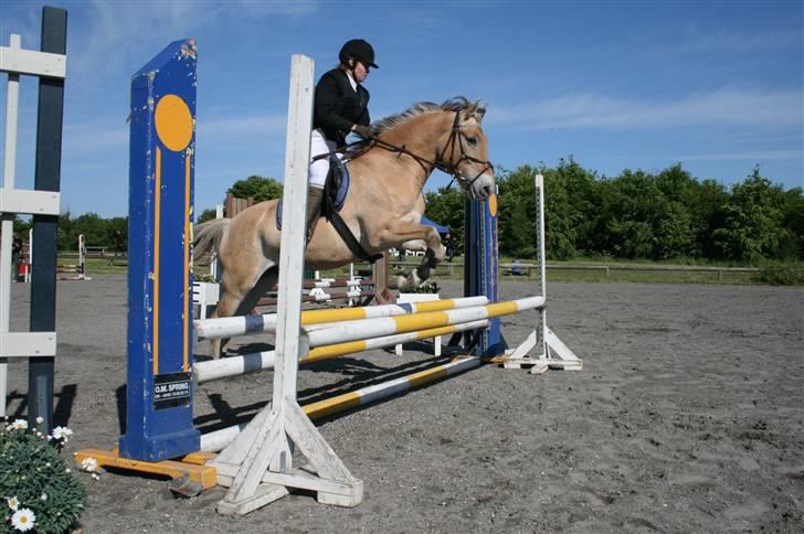 Anden særlig race Jerry (Aflivet) - Farmland Cup » LD. billede 8
