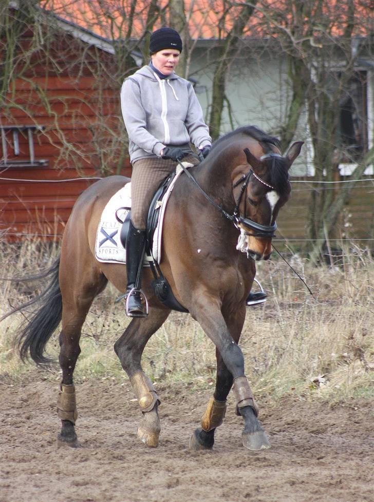 Holstener proud daylight*SOLGT :'(* - Foto Funda billede 9