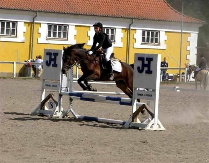 Anden særlig race Senta - Spring Stævne på HØRS :D <3 billede 13