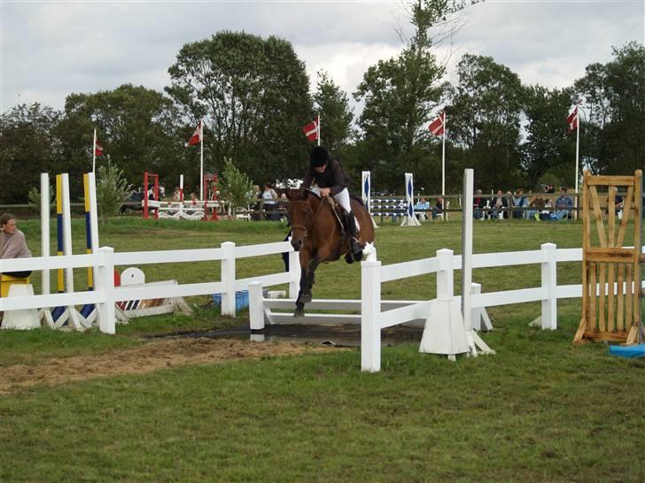 New Forest Pretty Woman solgt )': - Pretty over vandgraven <3 billede 14