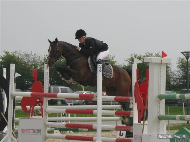 Anden særlig race Nørlunds Pokémon solgt - Min 2. SB Middelfart billede 6