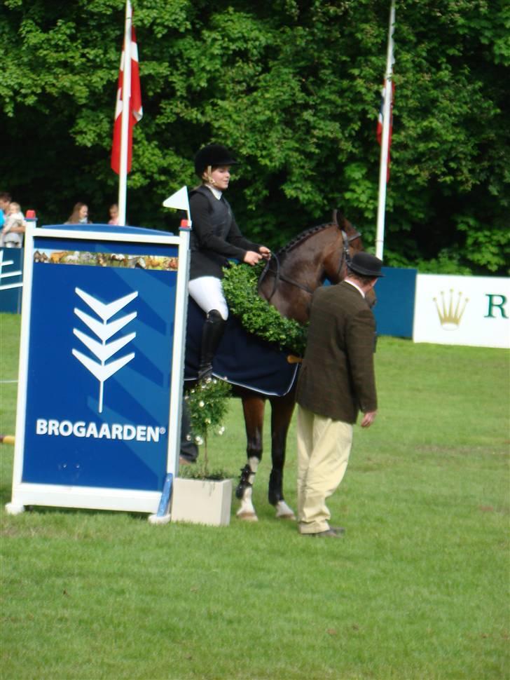 Anden særlig race Nørlunds Pokémon solgt - Præmieoverrækkelse til CSIO i parken billede 8