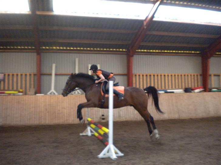 Pinto Krastrup's Impulz - Spring (: | Impulz 5 år | Oktober 2009 billede 12