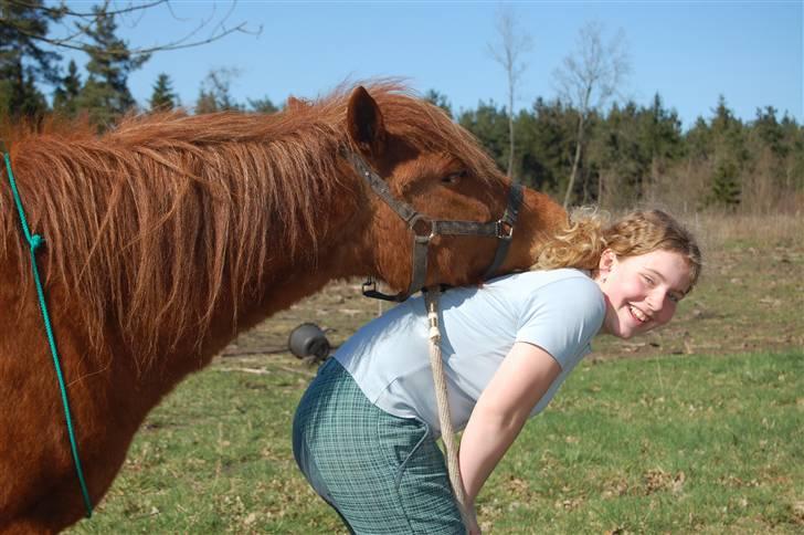 Anden særlig race Aslan billede 11