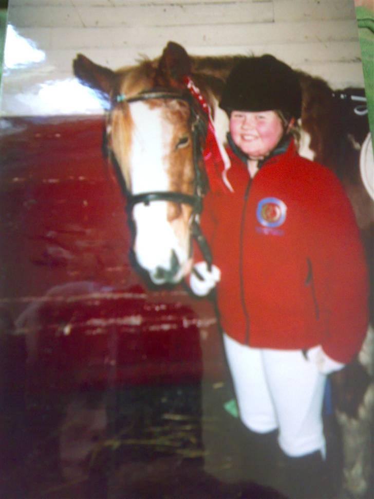 Pinto Felix - Den uimodstålige<3 - Tredje stævne - 1. sejr - dejlige dyr! billede 4