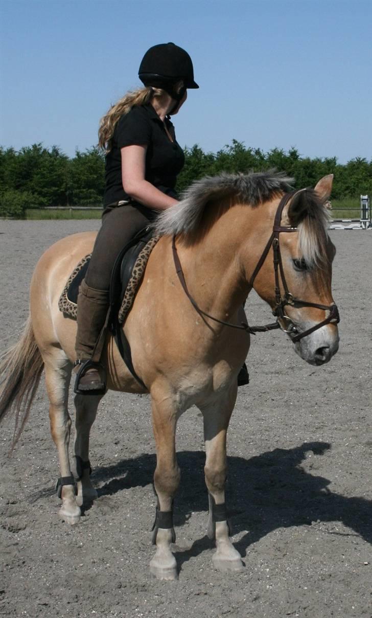 Anden særlig race Jerry (Aflivet) - Jerry er så sød <3 billede 9