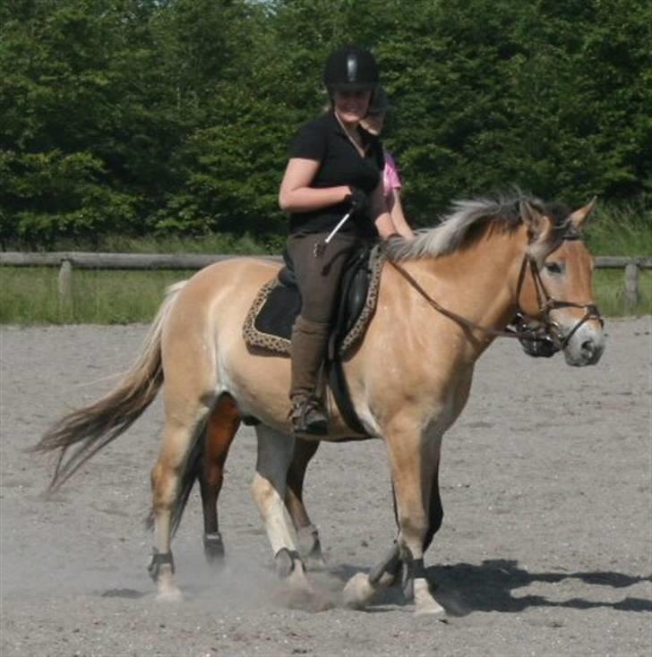 Anden særlig race Jerry (Aflivet) - Mig og jerry i skridt d: sisse er bag ved på max :D billede 10