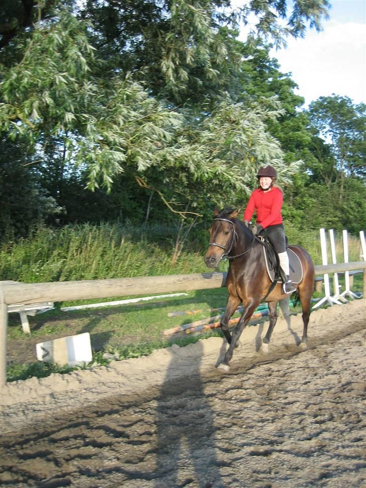 Anden særlig race 'Samson <3 (solgt) :'( - 6# Miq &´ Samson i let sæde :D:D ´ 2006 billede 6