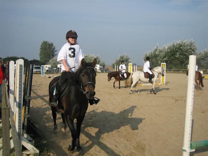 Anden særlig race 'Samson <3 (solgt) :'( - 11# Falken ..  billede 11