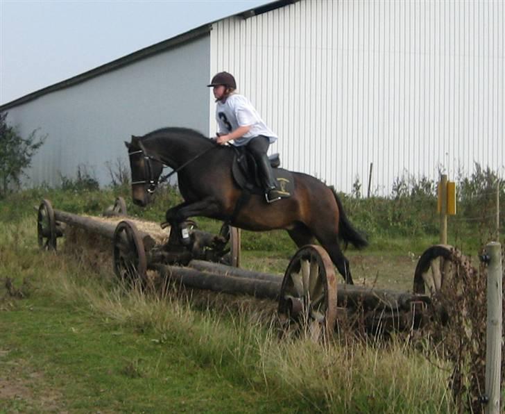 Anden særlig race 'Samson <3 (solgt) :'( - 14 # SPRIING !!(forstørret fra billede 13) billede 14