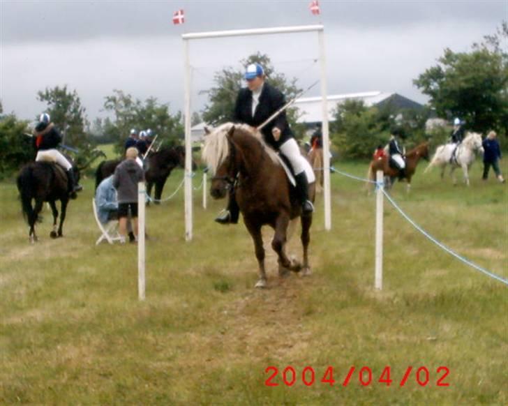 Haflinger Isabel - ringeridning i daler:) billede 3