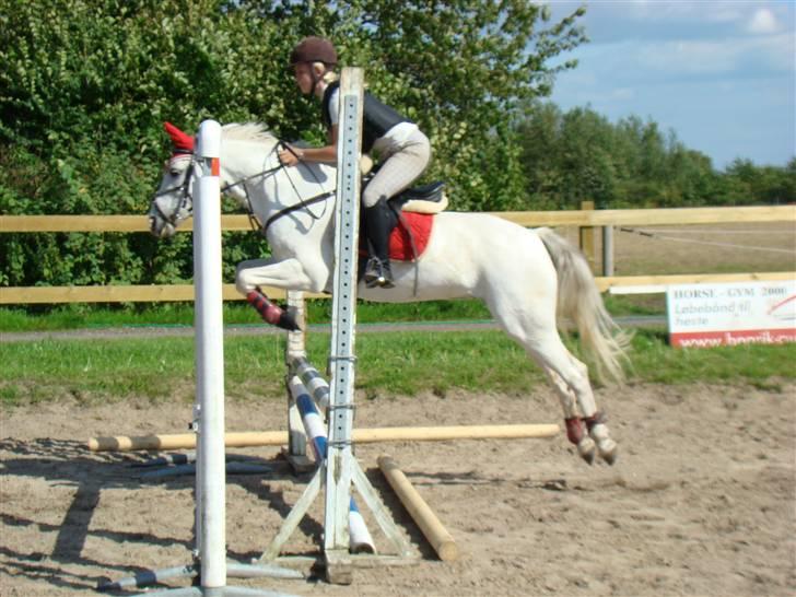 Connemara Freja Hedelund SOLGT;´(  - Træning på Dyresten 2 billede 16