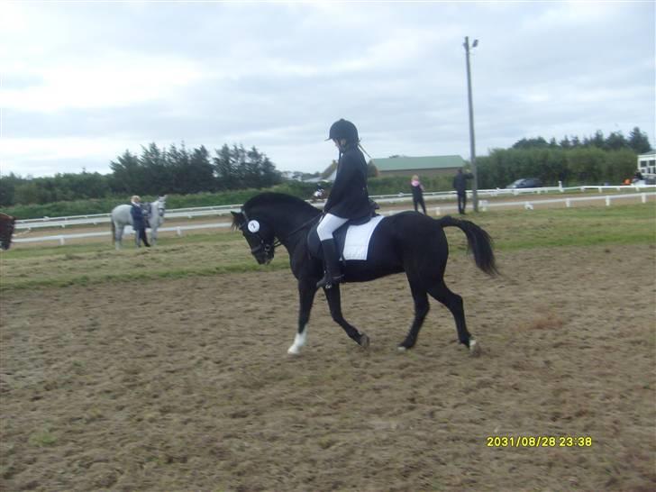 DSP sherrydan solgt :( - sherrydan er til salg, dato d 29/5 2009. mobil nr 53477178. det var de værste ord i mit liv :´( billede 1