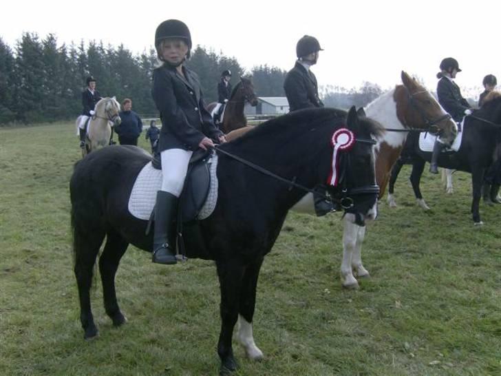 DSP sherrydan solgt :( - lige siden det fførste stævne har jeg været stolt af dig mni skath!<3 billede 2