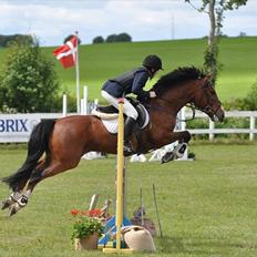 Anden særlig race Muskas