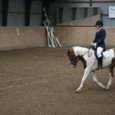 Pinto Zwier <3<3 -solgt :(