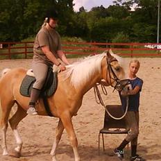 Palomino Lysgaards Dior - Himmelhest <3