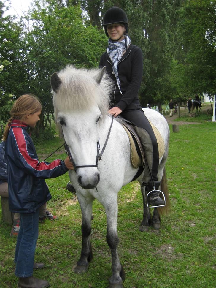 Islænder embla f. Lundegaard - til stævne :P idioten på hesten er så mig :D billede 12