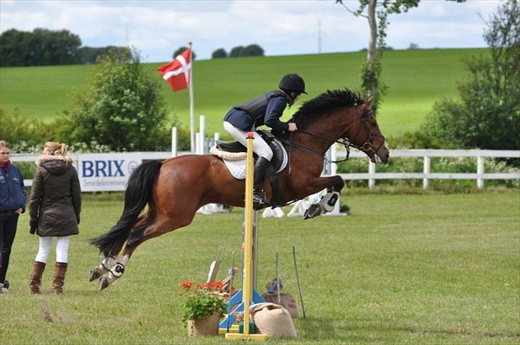 Anden særlig race Muskas - MB på SPS - juni 2010. billede 2