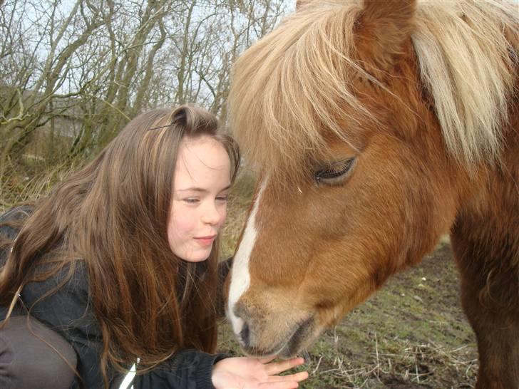 Shetlænder Lotte <3 #R.I.P :'/ # - Janne og Lotte i:<3  billede 14