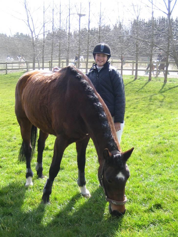 New Forest Moonlight (gammel part) - Jeg ser total fjolet ud og Moonlight ligner en bjørn med den pels... hehe billede 10