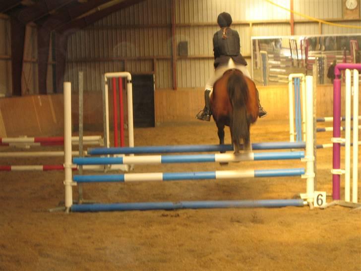 New Forest Moonlight (gammel part) billede 11