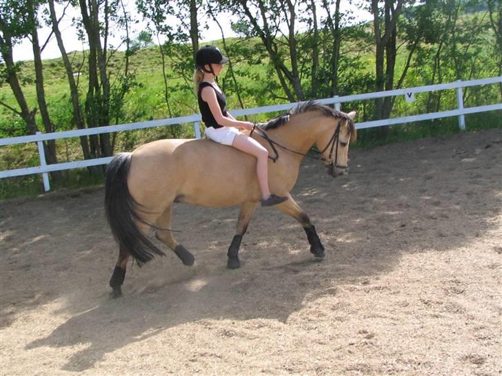 DSP Rakits Fire Light(Solgt) - Lidt ridning uden sadel i det gode sommer vejr:) billede 12