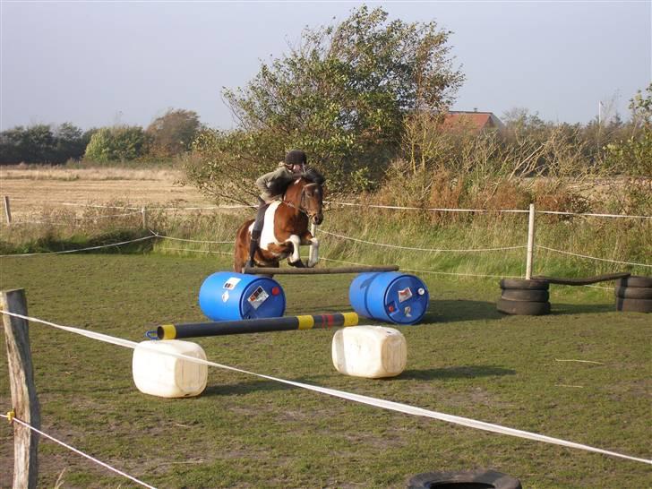 Pinto Indy  - Flyv pruhhest!!! FLYYYYYYV, xD billede 20