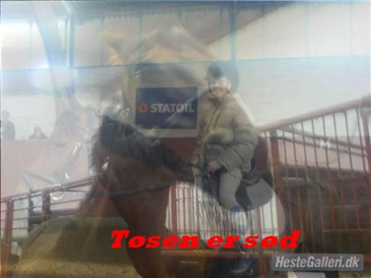 Anden særlig race Tøsen {Elev hest}(Simone) - Sejt billede som Mie har lavet billede 6