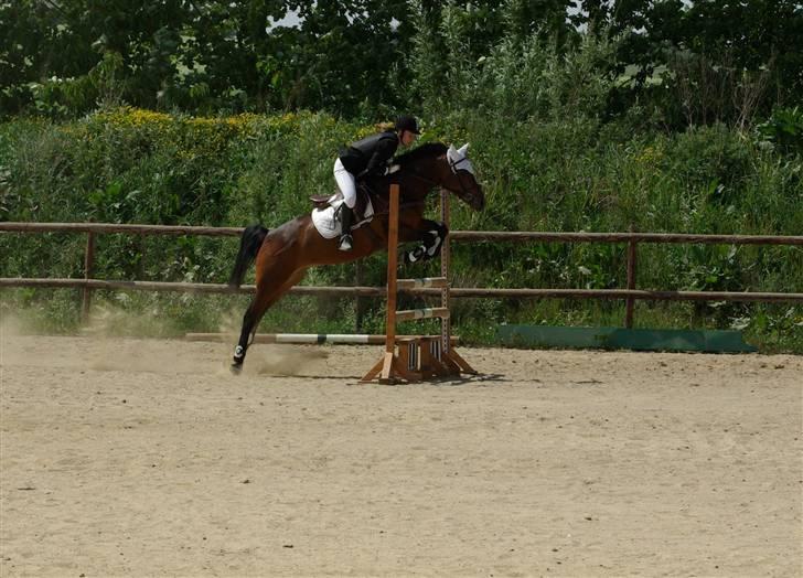 New Forest Balarina<3 - SOLGT :'/ - LA i koor gik ok :* love you!! :*<333333333 billede 14