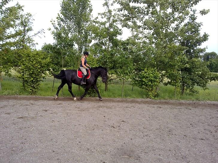 Oldenborg FREJA<3 - 13. juli 2010 hjemme på banen billede 6