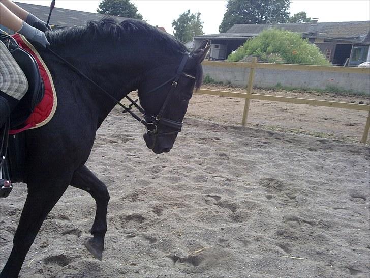 Oldenborg FREJA<3 - Freja 13. juli 2010  billede 7