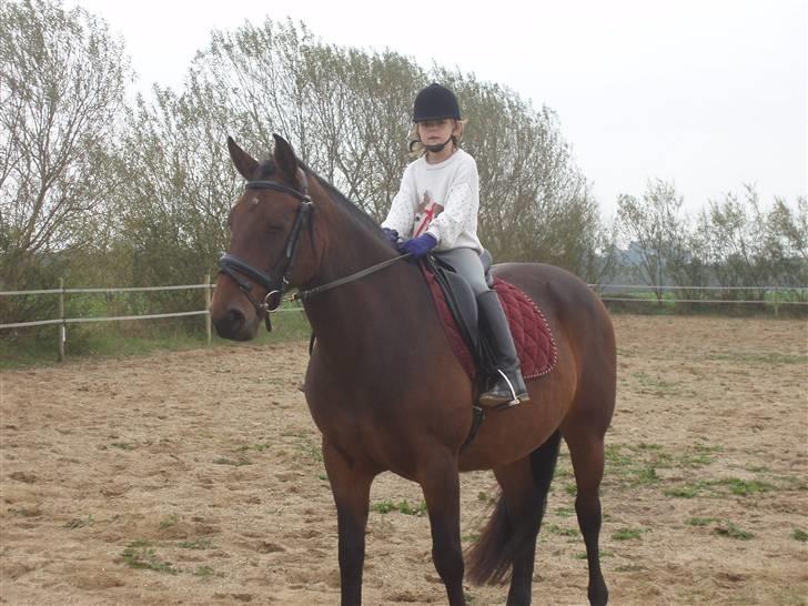 Anden særlig race Kia - Da vi var oppe og prøve hende billede 1