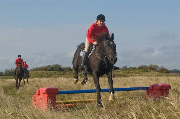 Oldenborg Kielstrupgårds MR. Malou  - på vores første jagt billede 17