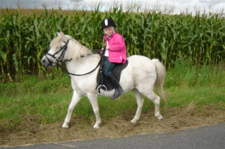 Anden særlig race Sasja R.I.P. billede 12