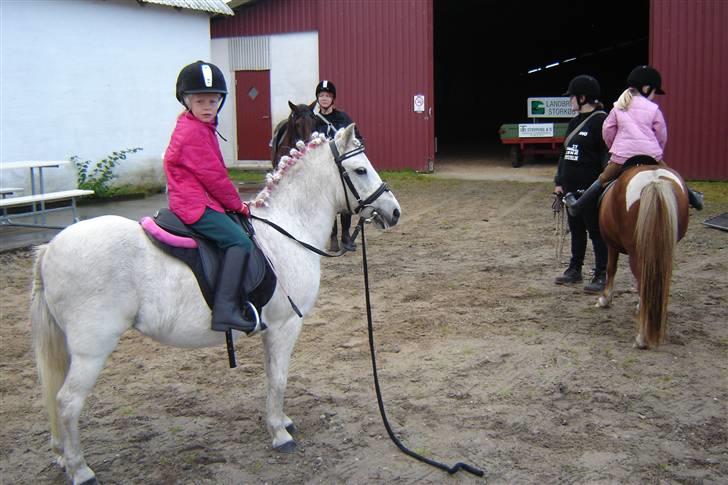 Anden særlig race Sasja R.I.P. billede 13