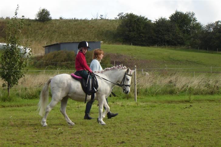 Anden særlig race Sasja R.I.P. billede 14