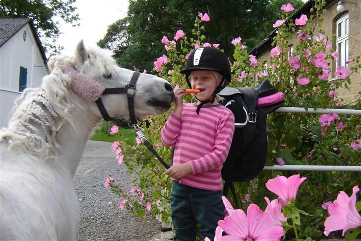 Anden særlig race Sasja R.I.P. billede 15