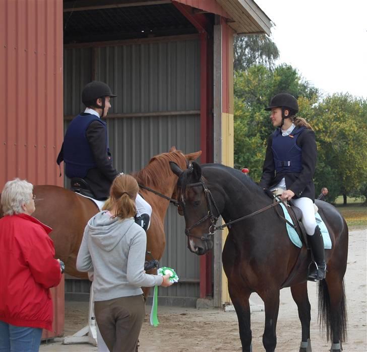 Oldenborg Gunnihus Nino - September 2009 billede 2