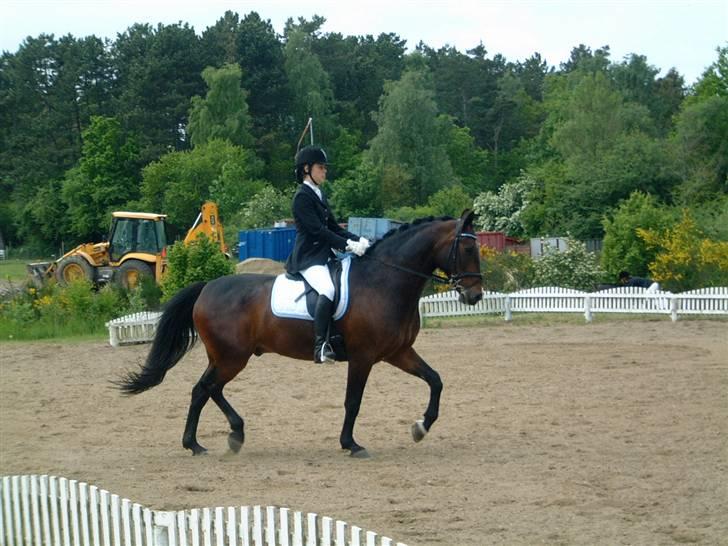 Oldenborg Gunnihus Nino - Maj 2009 billede 6