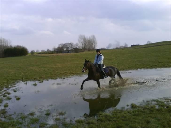 Oldenborg Gunnihus Nino - Marts 2009 billede 10