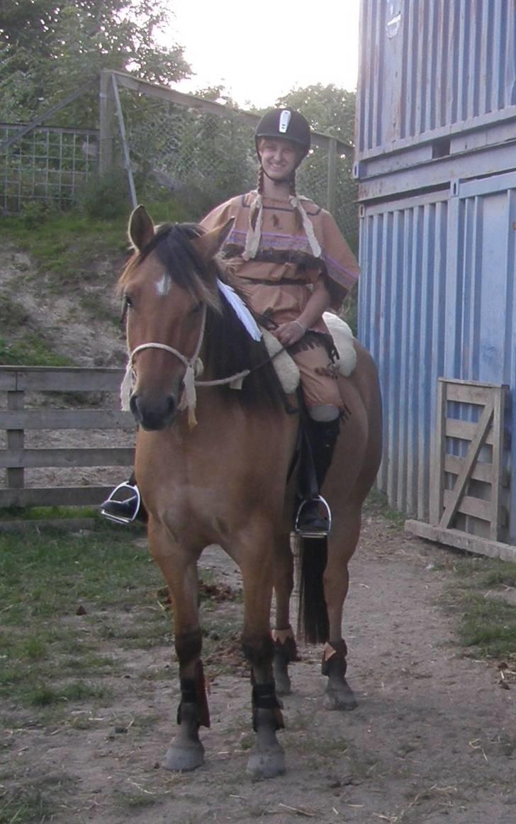 Oldenborg /Fjordhest - Vejlbygård's Yasmin-solgt- - Min dejlige indianerhest...  billede 8