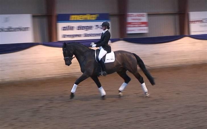 Dansk Varmblod All Right  - All Right og Camilla til c-stævne i frederiksværk dec 09. vinder af la1 og la2 med 74,2% og 74,5% :D billede 4