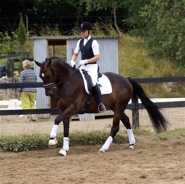 Dansk Varmblod All Right  - lillebror til sit første stævne :) 28. juni 08. DSA 5-års Ballerup. Han vandt med 85,2 % billede 16