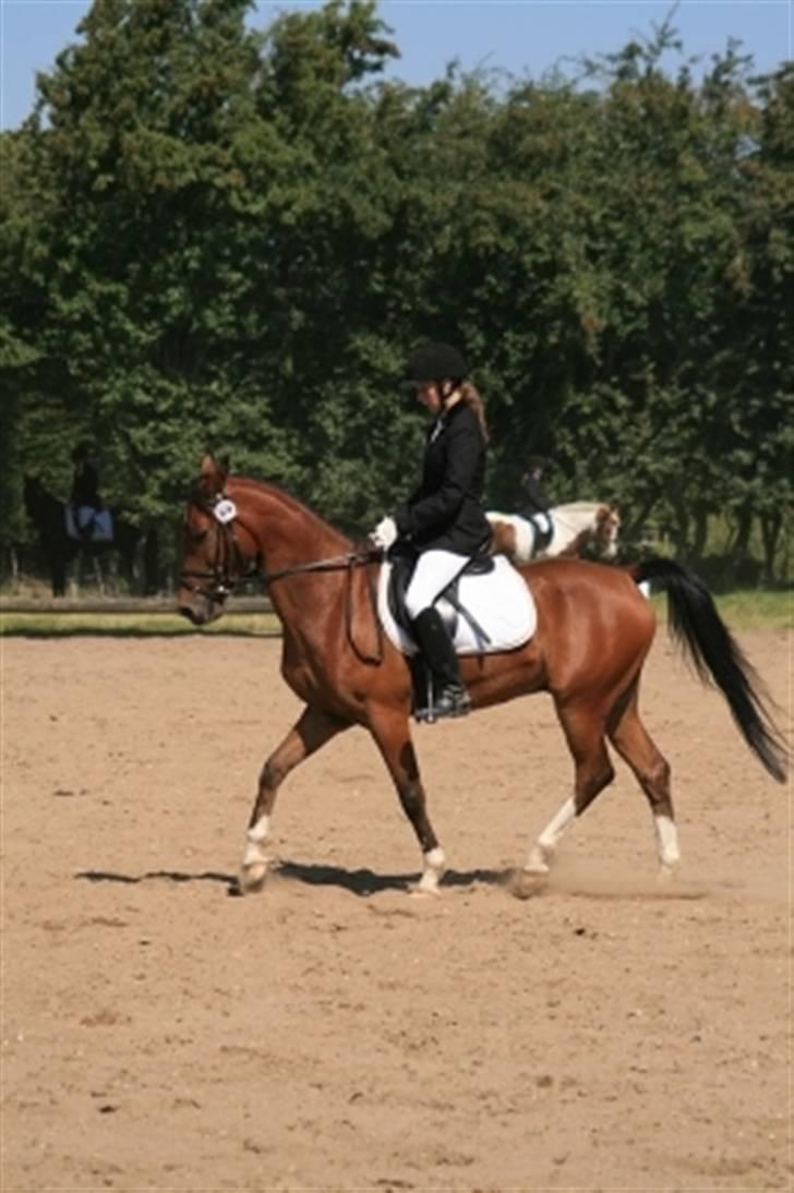 Sportsaraber (A) Turbo +23.12.07+ <3 - we will always be together, right here in my heart.. billede 11