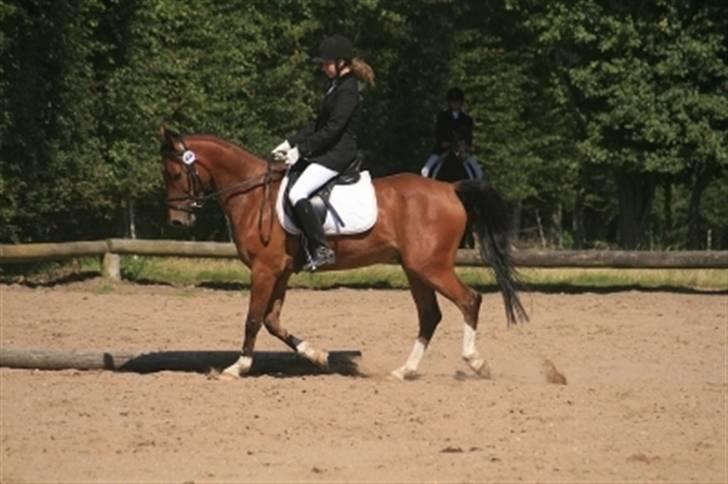 Sportsaraber (A) Turbo +23.12.07+ <3 - You´ll always be  my baby! billede 15