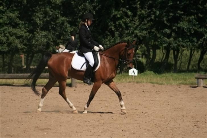 Sportsaraber (A) Turbo +23.12.07+ <3 - Our love will never end.. billede 16