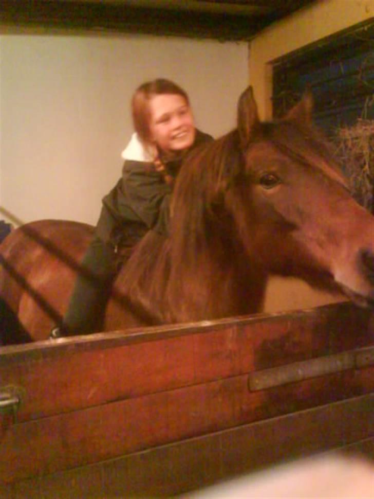 Anden særlig race Brune - brune <3 her står vi i vores boks. og det er mig /signe der sidder på <3 billede 1