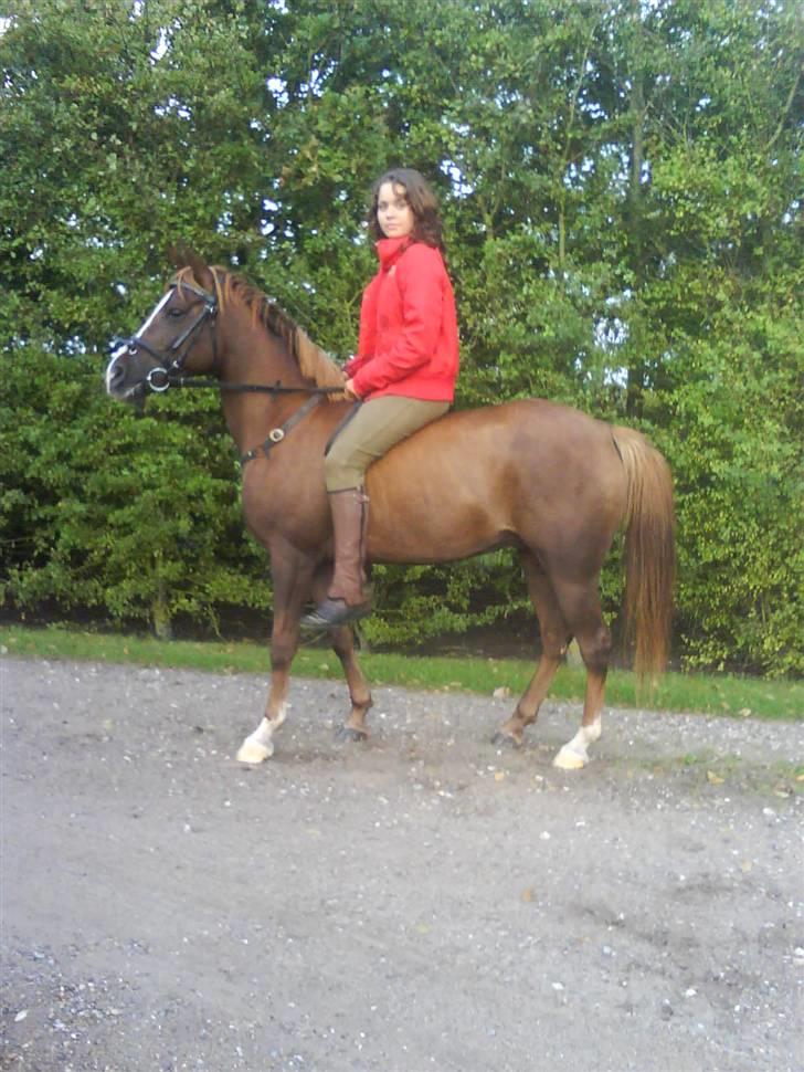Sportsaraber (A) Zag  - hygge dag med Nina...:*^<3 billede 6